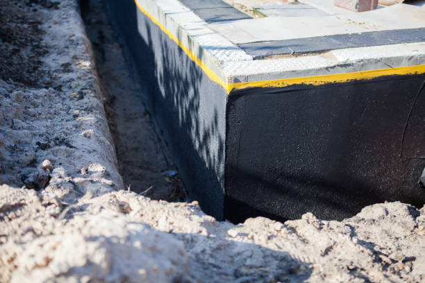 Waterproofing diagnostic process in Eden